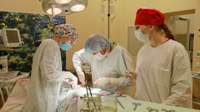 Хирурги проводят операцию / Фото: Минздрав Алтайского края