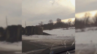 Грузовик с семечками / Фото: mk.ru