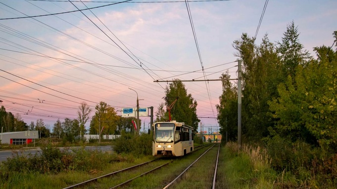 Трамваи из Ярославля / Фото: t.me/Myslivsluh999