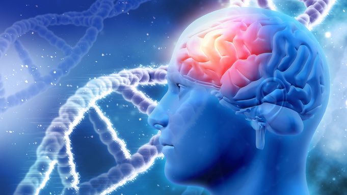 Электрическая активность мозга / Фото: kjpargeter / freepik.com