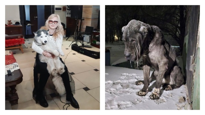 Светлана Разина и голодный пес / Фото: соцсети