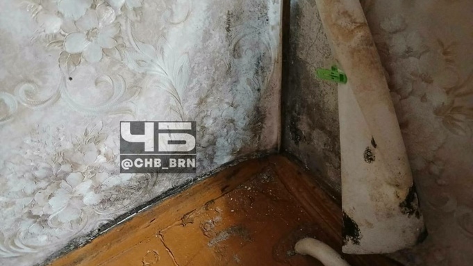 Плесень в углу квартиры / Фото: "Черное и Белое Барнаул"