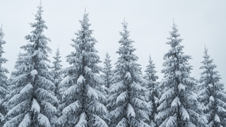 Изображение сгенерировано нейросетью DALL-E