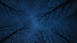 Изображение сгенерировано нейросетью DALL-E