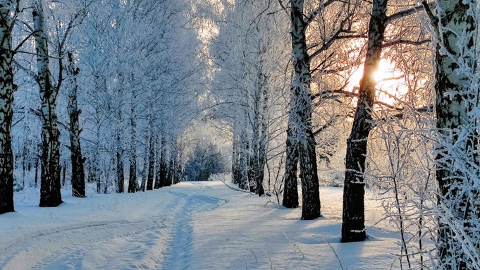 Зима в Алтайском крае / Фото: amic.ru