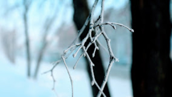 Погода, зима в Алтайском крае / Фото: Екатерина Смолихина / amic.ru