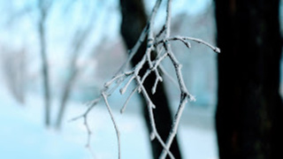 Погода, зима в Алтайском крае / Фото: Екатерина Смолихина / amic.ru