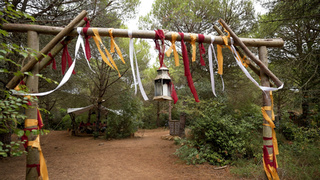 Проект "Выжить в Стамбуле"/Фото: ТНТ