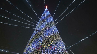 Елка на площади Свободы в Барнауле / Фото: amic.ru