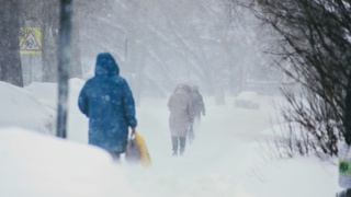 Непогода, метель / Фото: Екатерина Смолихина / amic.ru