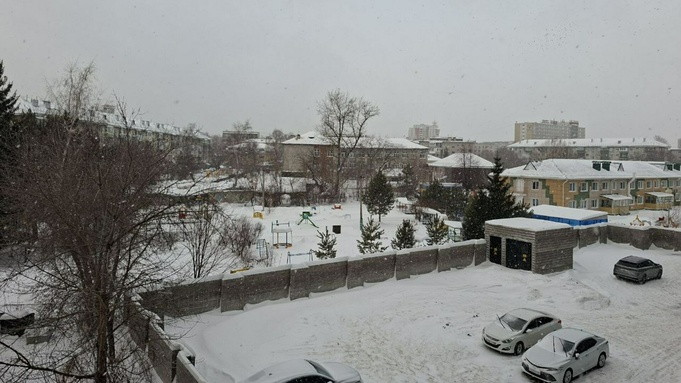 Погода в Алтайском крае / Фото: amic.ru