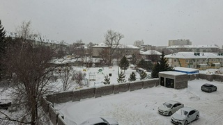 Погода в Алтайском крае/Фото: amic.ru