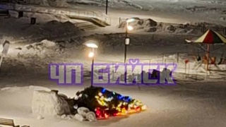 Елка в Бийске / Фото: паблик "ЧП Бийск" 