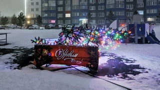 Метель в Барнауле / Фото: amic.ru