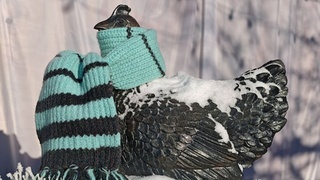 Скульптура с шарфом / Фото: барнаульский зоопарк