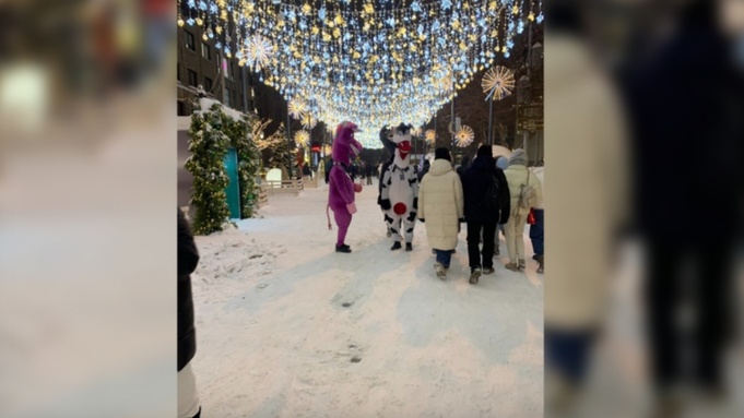 На улицах Новосибирска работали аниматоры-аферисты / Фото: "Om1 Новосибирск"