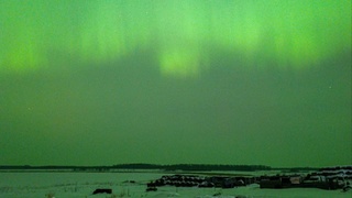 Северное сияние в Омской области / Фото: Милена Пономарева