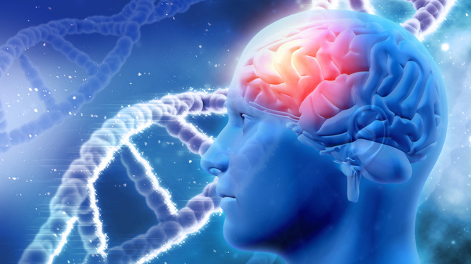 Электрическая активность мозга / Фото: kjpargeter / freepik.com