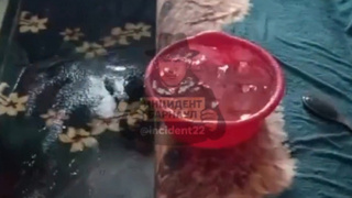 Затопление квартиры / Кадр из видео: "Инцидент Барнаул"