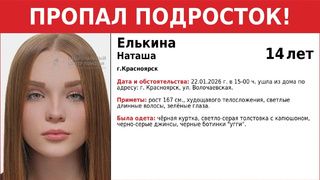 Пропавшая девочка / 