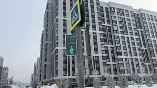 Светофор в Барнауле / Фото: мэрия Барнаула