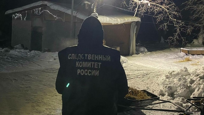 Следственный комитет России / Фото: СУ СК РФ по Саратовской области