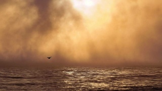 Телецкое озеро / Фото: Роман и Татьяна Воробьевы