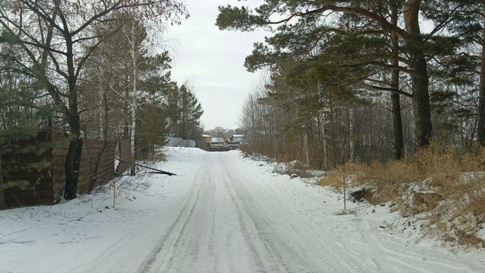 Дорога к школе / Фото: t.me/tomenko_22