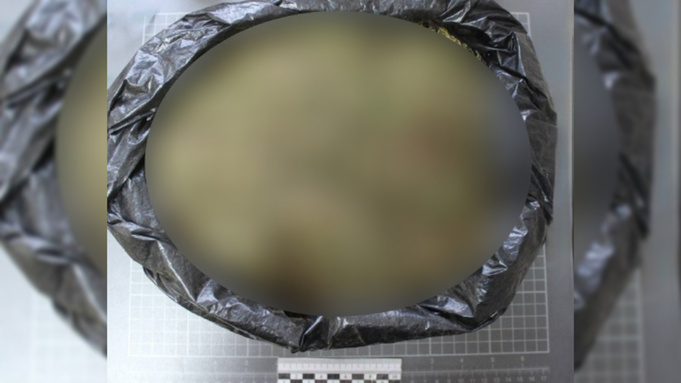 Изъятые наркотики / Фото: МВД России по Алтайскому краю