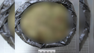 Изъятые наркотики / Фото: МВД России по Алтайскому краю