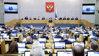 Заседание Госдумы / Фото: Госдума РФ