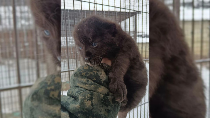 Фото: телеграм-канал "Барнаульский зоопарк"