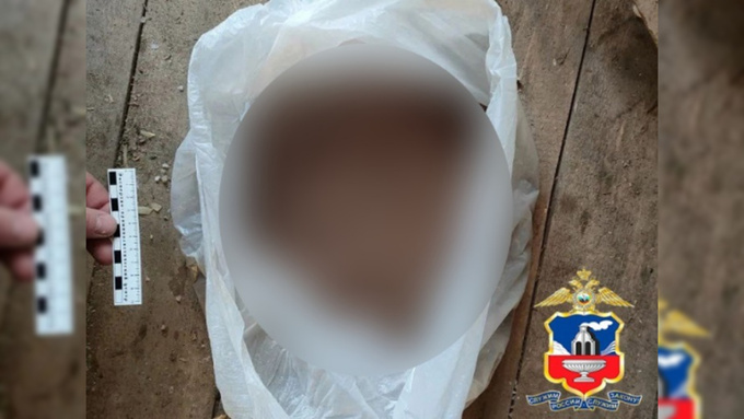 Изъятая "дурман-трава" / Фото: МВД России по Алтайскому краю