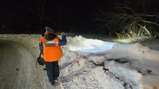 Поиски пенсионерки / Фото: ДПСО "ЛизаАлерт" Алтайского края