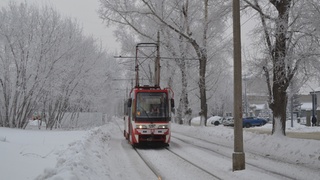 Трамвай / Фото: сообщество транспорта в Барнауле