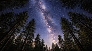 Изображение сгенерировано нейросетью DALL-E