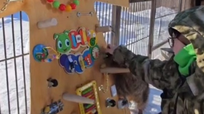 Зоопарк Барнаула / Фото: стоп-кадр с видео телеграм-канала / @zoo22ru