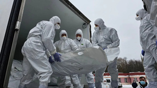 Фото: Telegram-канал Владимира Мединского