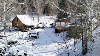 Кафе и беседки / Фото: объединенная пресс-служба судов Алтайского края