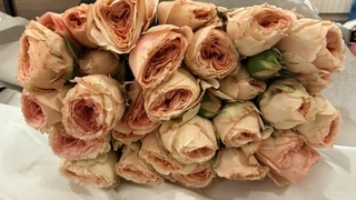 Розы / Фото: пресс-служба Алтайской таможни