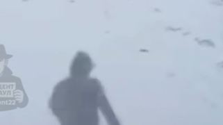 Фото: Telegram-канал "Инцидент Барнаул"