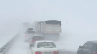 На трассе Новосибирск &mdash; Бийск / Кадр из видео / "Инцидент Барнаул"