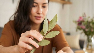 Лотерея, лавровый лист /  Изображение сгенерировано GigaChat от Сбера / amic.ru