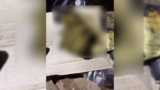 Изъятые наркотики / Фото: МВД Республики Алтай