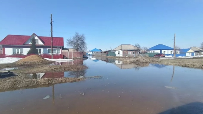 Воды в Михайловском районе /
Фото: Евгения Юрьева в Max