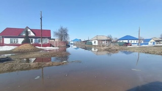 Воды в Михайловском районе /
Фото: Евгения Юрьева в Max