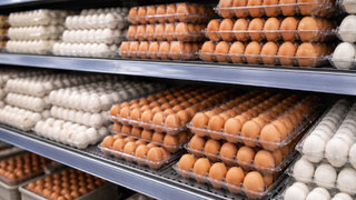 Яйца в магазине / Фото: создано в нейросети ChatGPT