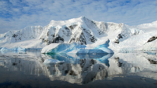 Оазис с пингвинами / Фото: пресс-служба Альфа-Банка