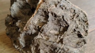 Бийский метеорит / Фото: с сайта объявлений "Авито"