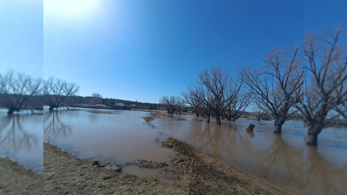 Обстановка в Михайловском районе / Фото: канал Евгения Юрьева в Max